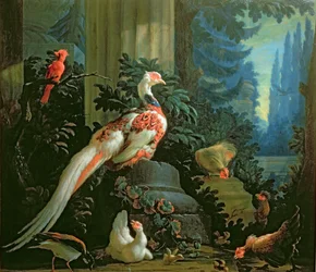 Ein weißer Fasan, ein roter Kardinal und Geflügel in einer Landschaft